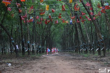 COTECCONS - LÊ PHONG BÌNH DƯƠNG HALF MARATHON 2023 - Ảnh #502830