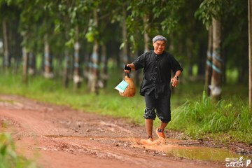 COTECCONS - LÊ PHONG BÌNH DƯƠNG HALF MARATHON 2023 - Ảnh #499343