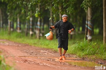COTECCONS - LÊ PHONG BÌNH DƯƠNG HALF MARATHON 2023 - Ảnh #499342