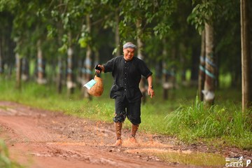 COTECCONS - LÊ PHONG BÌNH DƯƠNG HALF MARATHON 2023 - Ảnh #499330