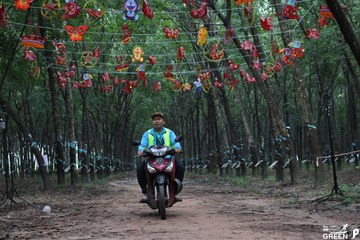 COTECCONS - LÊ PHONG BÌNH DƯƠNG HALF MARATHON 2023 - Ảnh #500727