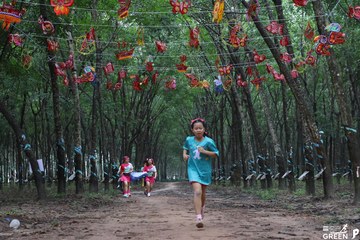 COTECCONS - LÊ PHONG BÌNH DƯƠNG HALF MARATHON 2023 - Ảnh #502850