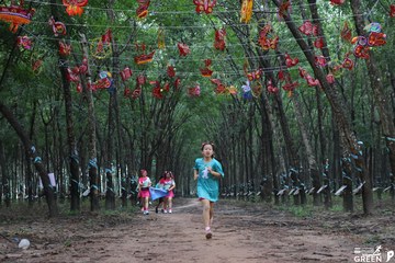 COTECCONS - LÊ PHONG BÌNH DƯƠNG HALF MARATHON 2023 - Ảnh #502847
