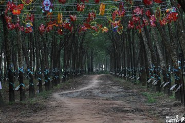 COTECCONS - LÊ PHONG BÌNH DƯƠNG HALF MARATHON 2023 - Ảnh #502927