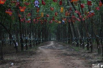 COTECCONS - LÊ PHONG BÌNH DƯƠNG HALF MARATHON 2023 - Ảnh #502900