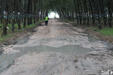 COTECCONS - LÊ PHONG BÌNH DƯƠNG HALF MARATHON 2023 - Ảnh #502924