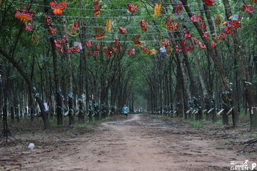COTECCONS - LÊ PHONG BÌNH DƯƠNG HALF MARATHON 2023 - Ảnh #502876