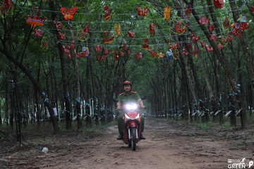 COTECCONS - LÊ PHONG BÌNH DƯƠNG HALF MARATHON 2023 - Ảnh #502901