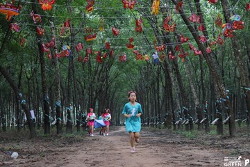 COTECCONS - LÊ PHONG BÌNH DƯƠNG HALF MARATHON 2023 - Ảnh #502848
