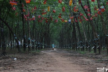 COTECCONS - LÊ PHONG BÌNH DƯƠNG HALF MARATHON 2023 - Ảnh #502911