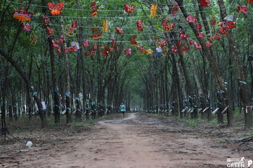 COTECCONS - LÊ PHONG BÌNH DƯƠNG HALF MARATHON 2023 - Ảnh #502872