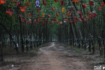 COTECCONS - LÊ PHONG BÌNH DƯƠNG HALF MARATHON 2023 - Ảnh #502899