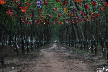 COTECCONS - LÊ PHONG BÌNH DƯƠNG HALF MARATHON 2023 - Ảnh #502902