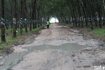COTECCONS - LÊ PHONG BÌNH DƯƠNG HALF MARATHON 2023 - Ảnh #502930