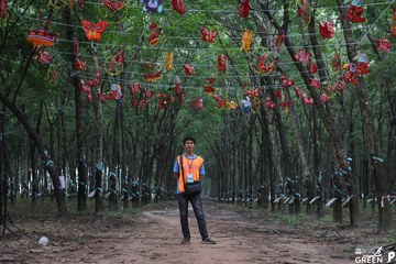COTECCONS - LÊ PHONG BÌNH DƯƠNG HALF MARATHON 2023 - Ảnh #502909