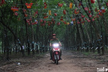 COTECCONS - LÊ PHONG BÌNH DƯƠNG HALF MARATHON 2023 - Ảnh #502904