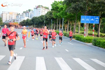 RUN TO LIVE 2025 - Ảnh #3272977