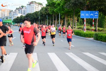RUN TO LIVE 2025 - Ảnh #3272657
