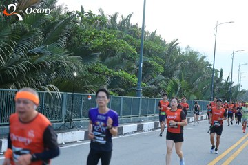 RUN TO LIVE 2025 - Ảnh #3275931
