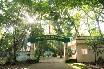 TEAMBUILDING VLU 2025 - LAN TỎA GIÁ TRỊ, KHAI MỞ TƯƠNG LAI ĐỢT 1 - Ảnh #4117904