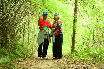 TEAMBUILDING VLU 2025 - LAN TỎA GIÁ TRỊ, KHAI MỞ TƯƠNG LAI ĐỢT 1 - Ảnh #4121449