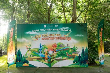 TEAMBUILDING VLU 2025 - LAN TỎA GIÁ TRỊ, KHAI MỞ TƯƠNG LAI ĐỢT 1 - Ảnh #4117899