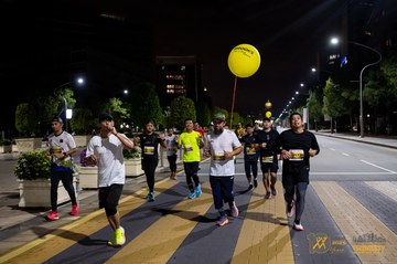 Twincity Marathon 2025 - Ảnh #3074004