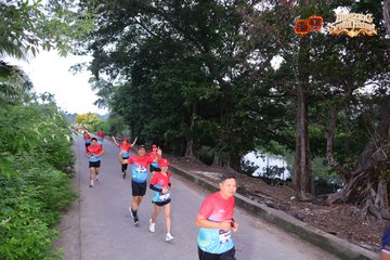 AMAZING SPORTS FESTIVAL - Ảnh #5305526