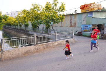 AMAZING SPORTS FESTIVAL - Ảnh #5308015