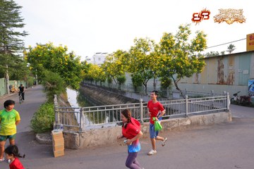 AMAZING SPORTS FESTIVAL - Ảnh #5308023
