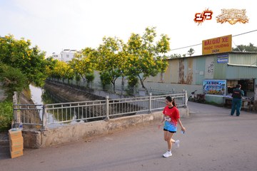 AMAZING SPORTS FESTIVAL - Ảnh #5308230