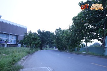 AMAZING SPORTS FESTIVAL - Ảnh #5301587
