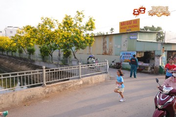 AMAZING SPORTS FESTIVAL - Ảnh #5308377
