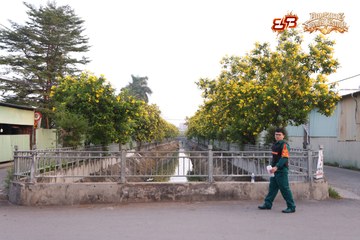 AMAZING SPORTS FESTIVAL - Ảnh #5301755