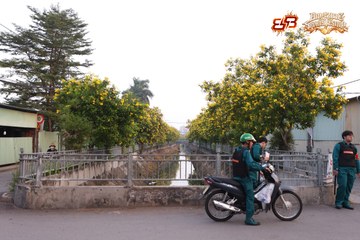 AMAZING SPORTS FESTIVAL - Ảnh #5301756