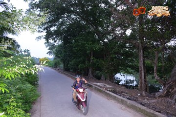 AMAZING SPORTS FESTIVAL - Ảnh #5305079
