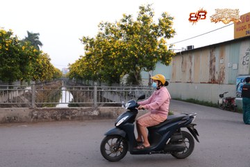 AMAZING SPORTS FESTIVAL - Ảnh #5301770