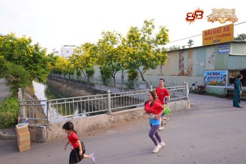 AMAZING SPORTS FESTIVAL - Ảnh #5308025