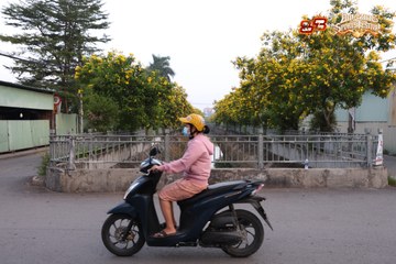 AMAZING SPORTS FESTIVAL - Ảnh #5301772