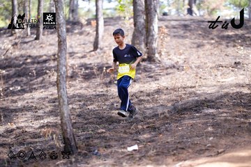 Dalat Ultra Trail 2026 - Ảnh #4854440