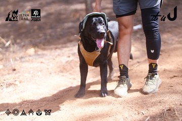 Dalat Ultra Trail 2026 - Ảnh #4854663