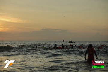 VIETNAM TRIFACTOR 2026 - Ảnh #5262950