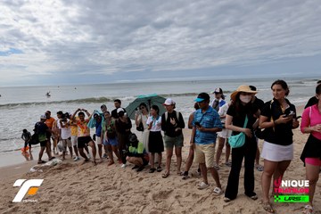 VIETNAM TRIFACTOR 2026 - Ảnh #5267337