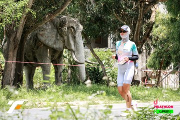 Ảnh sự kiện VIETNAM TRIFACTOR 2026 - 583ad7b0512c53d5f997fc0bd48b0c25.jpg
