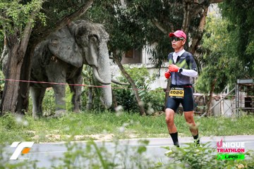 Ảnh sự kiện VIETNAM TRIFACTOR 2026 - 735b234dfdeefb07c0481583e7bf9147.jpg