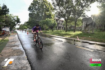 VIETNAM TRIFACTOR 2026 - Ảnh #5264929