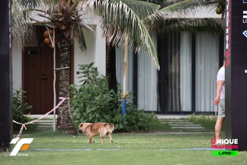 VIETNAM TRIFACTOR 2026 - Ảnh #5262133