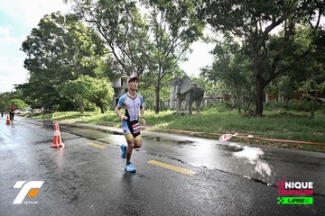 VIETNAM TRIFACTOR 2026 - Ảnh #5265036