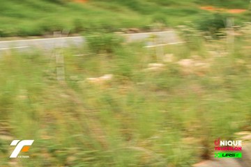 VIETNAM TRIFACTOR 2026 - Ảnh #5285110