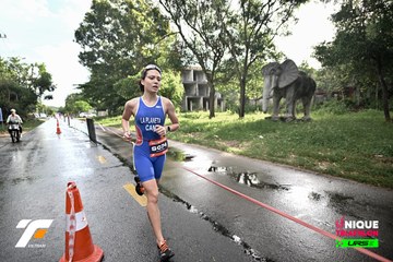 VIETNAM TRIFACTOR 2026 - Ảnh #5264990